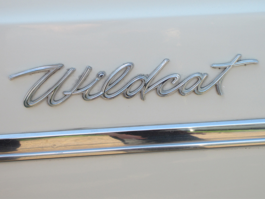Wildcat emblem Wildcat emblem