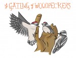 New Artwork – Ian Rogers – a Gatling of Woodpeckers