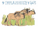 New Artwork – Ian Rogers – an Implausibility of Gnus