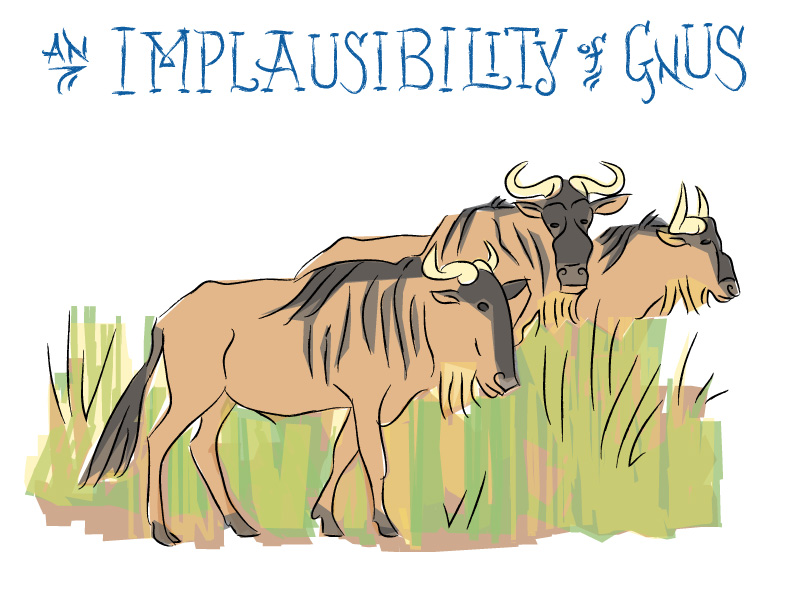 Ian Rogers - an Implausibility of Gnus Ian Rogers - an Implausibility of Gnus